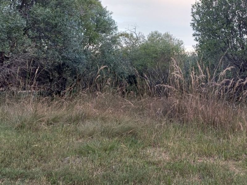 Vacant Stand for Sale in Koro Creek Golf Estate - Photo 9