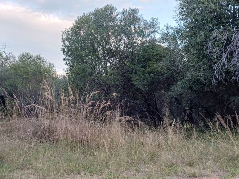 Vacant Stand for Sale in Koro Creek Golf Estate - Photo 8