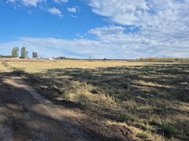 Smalholding with registered water rights - Photo 8