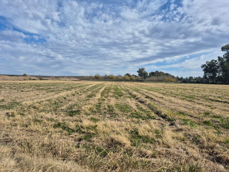 Smalholding with registered water rights - Photo 7