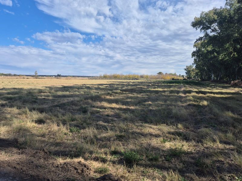 Smalholding with registered water rights - Photo 6
