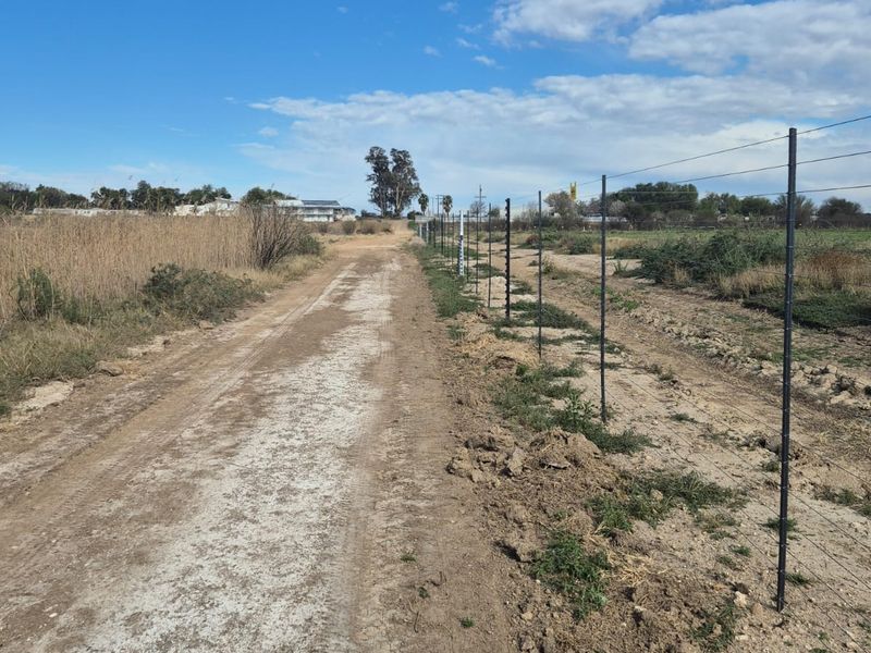 Smalholding with registered water rights - Photo 5