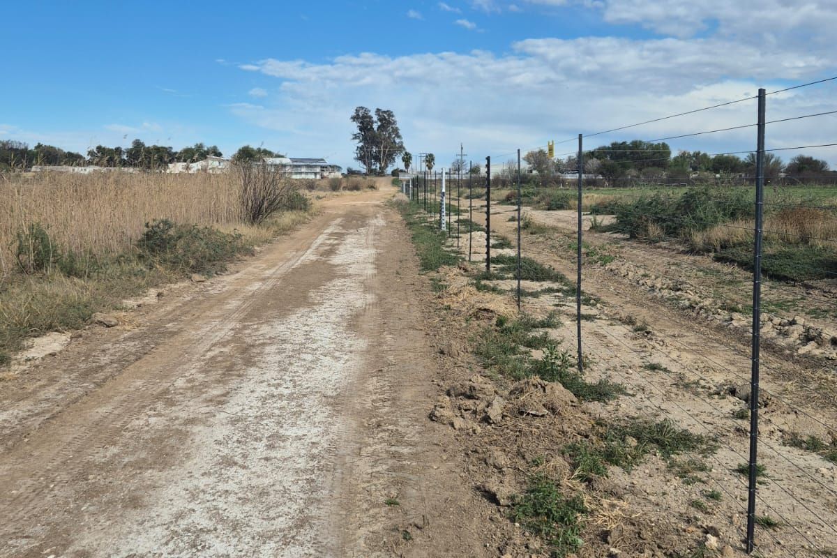 Smalholding with registered water rights - Photo 5
