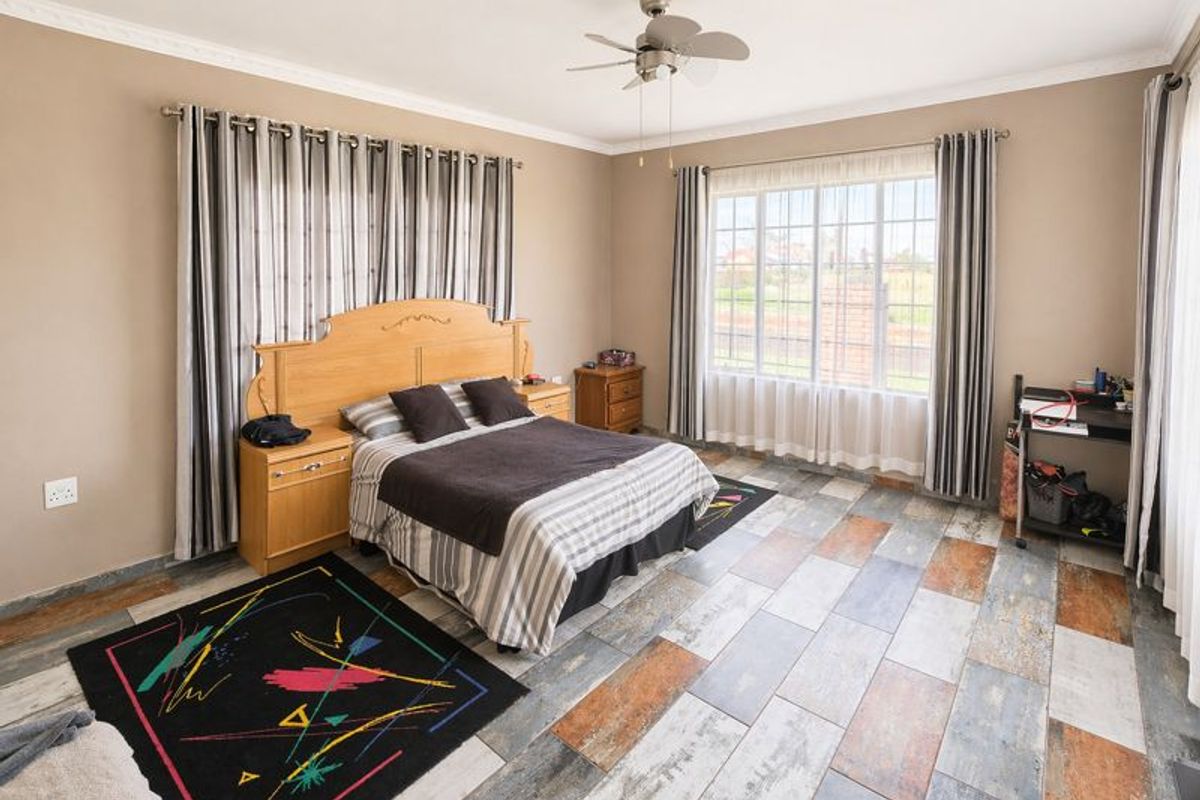 Spacious bedroom featuring large windows, ceiling fan, and distinctive multi-toned tiled flooring with classic cornicing details.