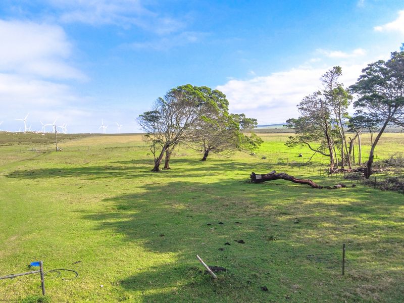 Expansive open farm land featuring mature trees, wire fencing, and distant wind turbines under a clear blue sky.