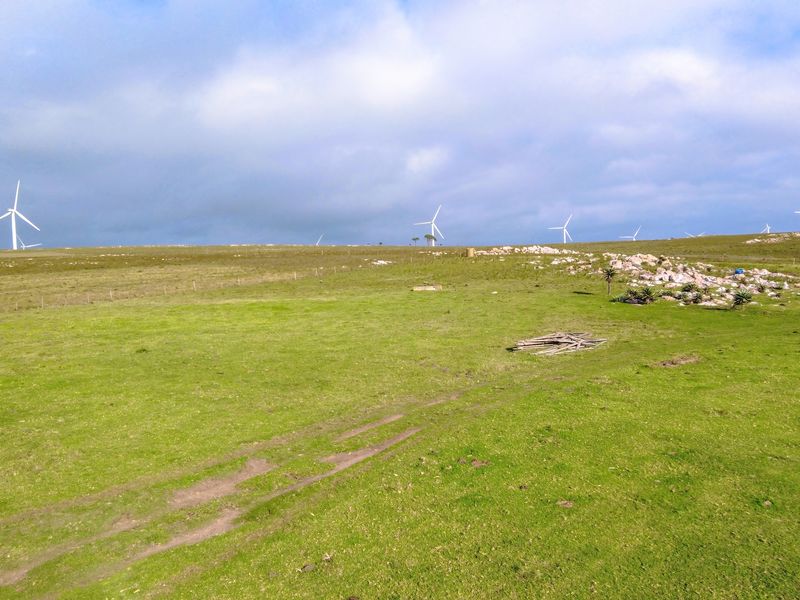 Expansive open farmland view featuring rolling green pastures and distant wind turbines under a cloudy sky.