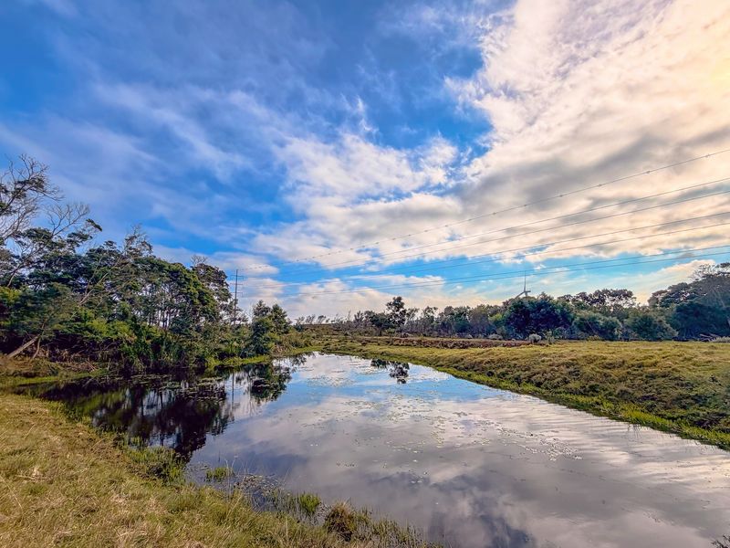 A scenic view of a natural pond on the farm property, surrounded by grassy banks and mature trees under a cloudy sky.