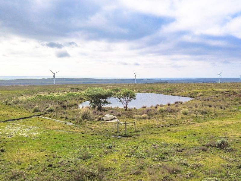 A scenic view of the farm landscape featuring a natural pond, open grazing land, and distant wind turbines under a cloudy sky.