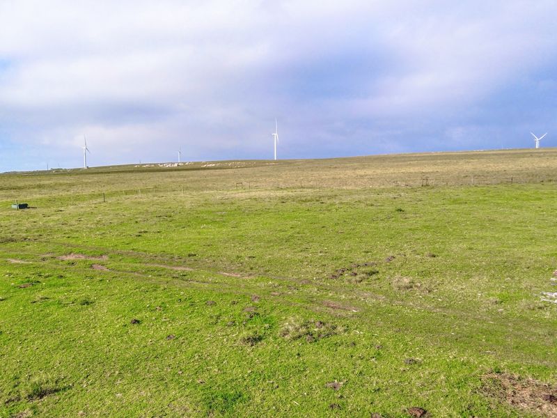 Expansive open farmland landscape featuring rolling green pastures and distant wind turbines under a cloudy sky.