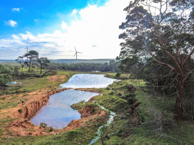 A scenic view of the farm landscape featuring a natural dam, open pasture, and established trees under a bright sky.