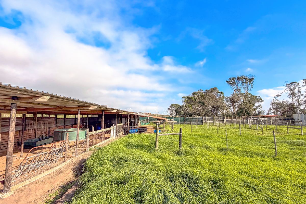 A functional farm livestock enclosure featuring a long covered shelter with timber supports and wire fencing set within a grassy paddock area.