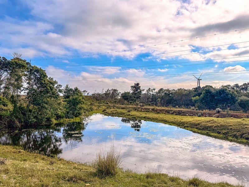 A scenic view of a natural pond on the farm property, surrounded by native vegetation and open landscape.