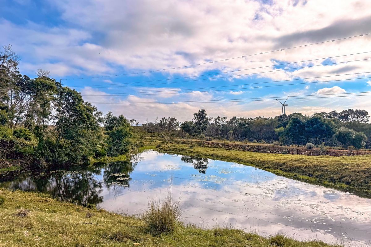 A scenic view of a natural pond on the farm property, surrounded by native vegetation and open landscape.