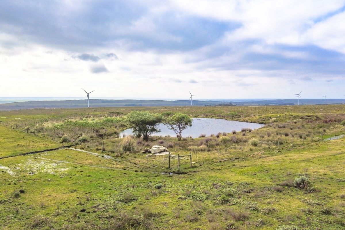 331-Hectare Working Farm near St Francis Bay and Humansdorp, Eastern Cape - Photo 4