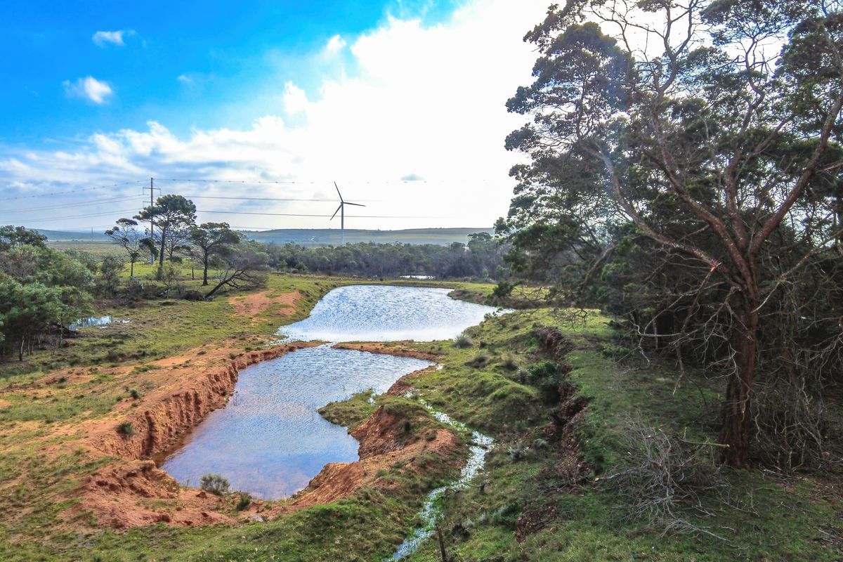 331-Hectare Working Farm near St Francis Bay and Humansdorp, Eastern Cape - Photo 5
