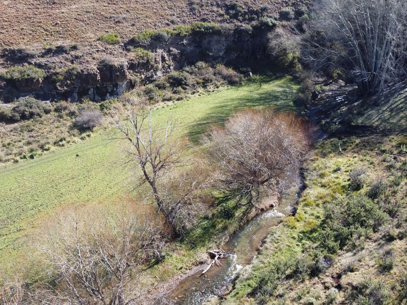 Prime Grazing & Livestock Farm in th Eastern Cape - Photo 1