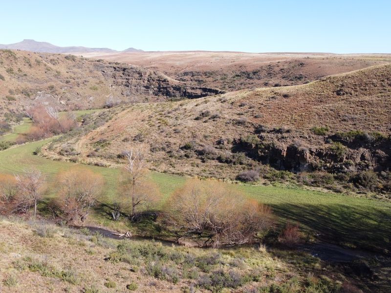 Prime Grazing & Livestock Farm in th Eastern Cape - Photo 4