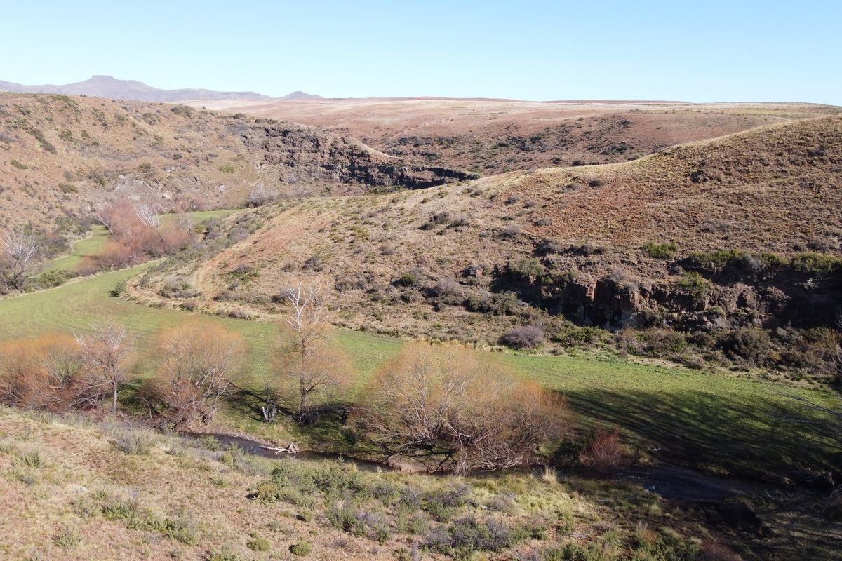 Prime Grazing & Livestock Farm in th Eastern Cape - Photo 4