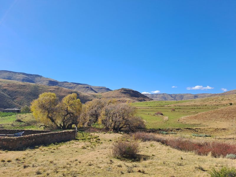 Prime Grazing & Livestock Farm in th Eastern Cape - Photo 2