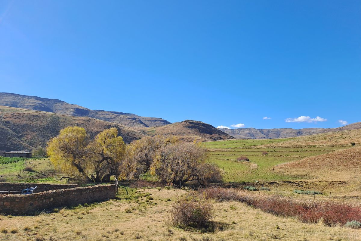Prime Grazing & Livestock Farm in th Eastern Cape - Photo 2