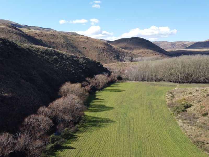Prime Grazing & Livestock Farm in th Eastern Cape - Photo 3