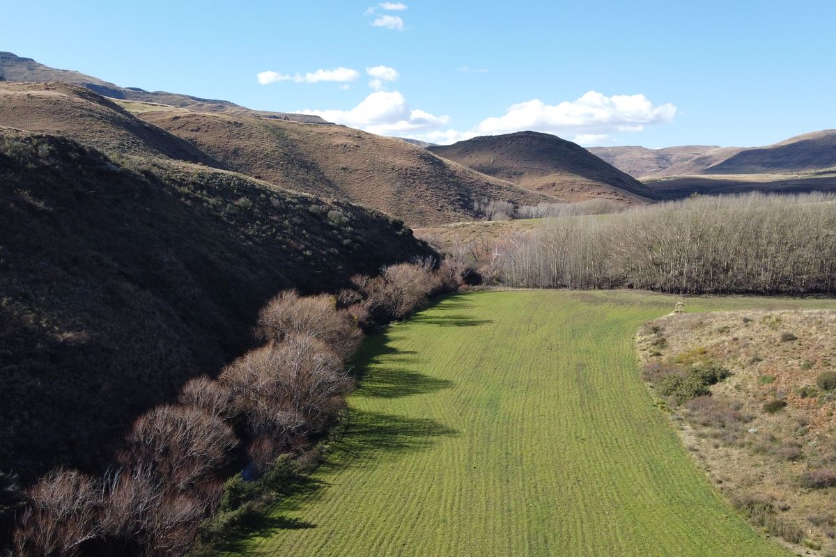 Prime Grazing & Livestock Farm in th Eastern Cape - Photo 3