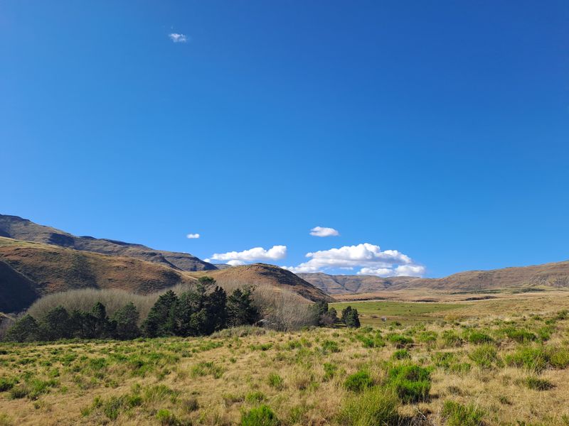 Prime Grazing & Livestock Farm in th Eastern Cape - Photo 10