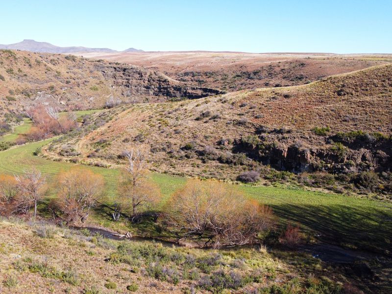 Prime Grazing & Livestock Farm in th Eastern Cape - Photo 9