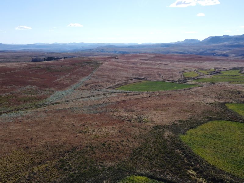 Prime Grazing & Livestock Farm in th Eastern Cape - Photo 8