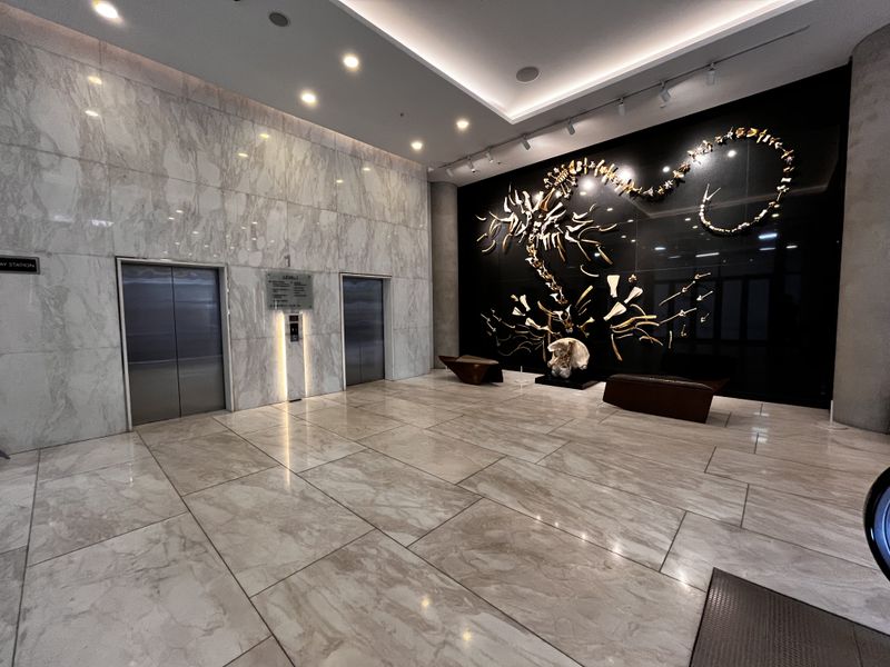 Perched high above Sandton in The Leonardo - Photo 8