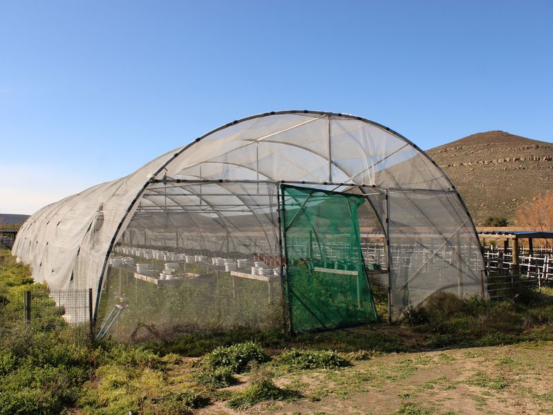 Walk in and Start Farming - Photo 10