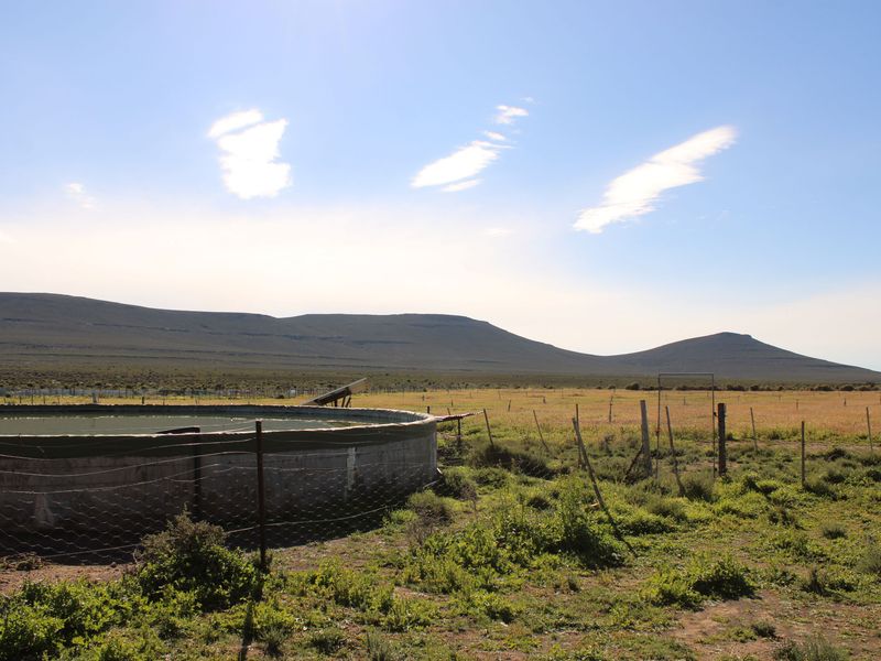 Walk in and Start Farming - Photo 8