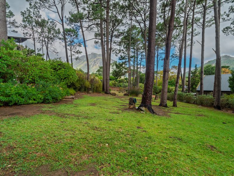 Furnished Home - Photo 4