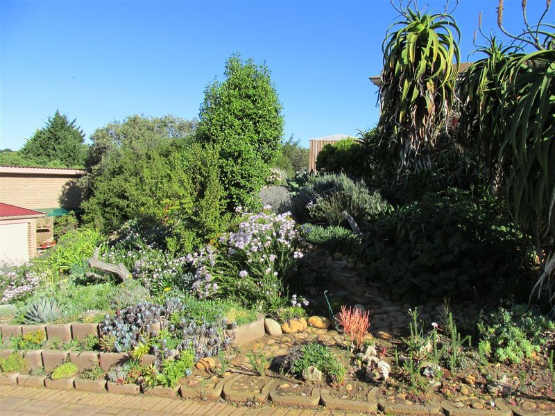 Charming 2 - Bedroom Home to Rent in Lovely Stilbaai West. - Photo 3