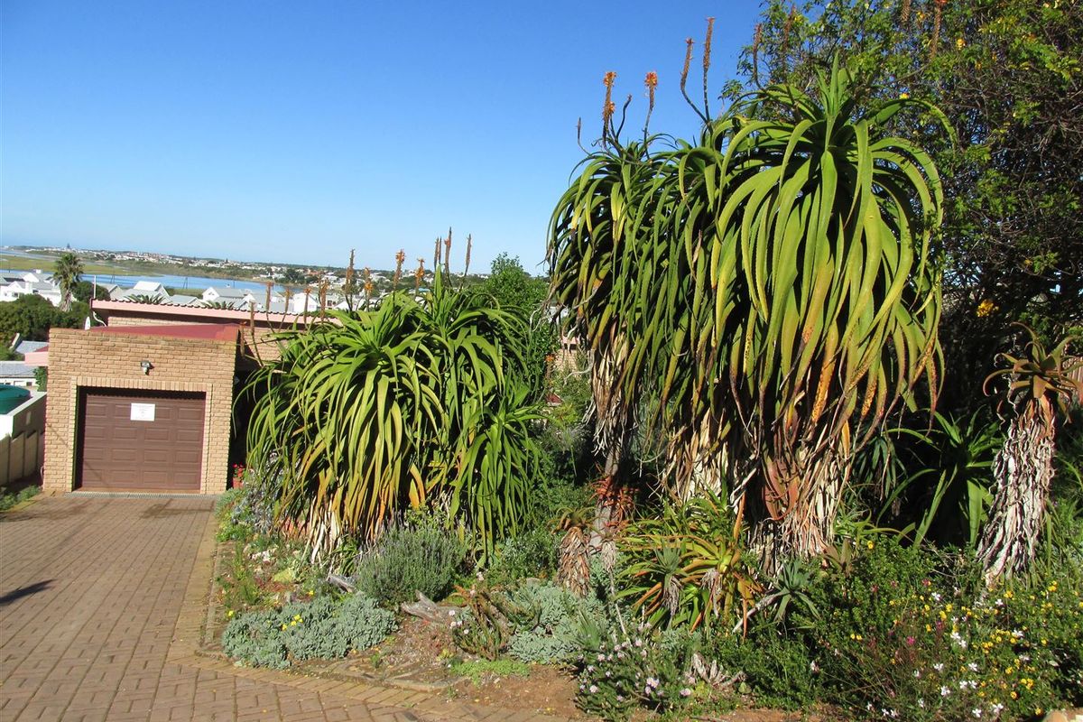 Charming 2 - Bedroom Home to Rent in Lovely Stilbaai West. - Photo 4