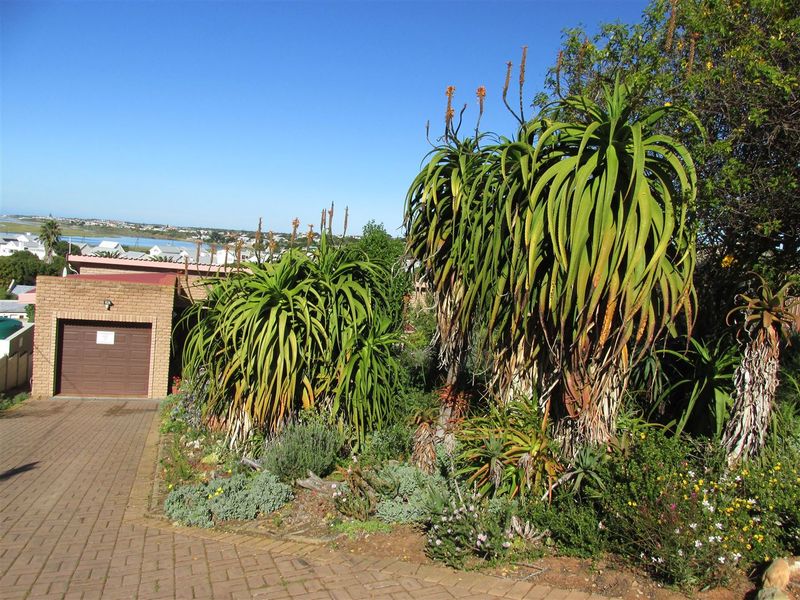 Charming 2 - Bedroom Home to Rent in Lovely Stilbaai West. - Photo 4