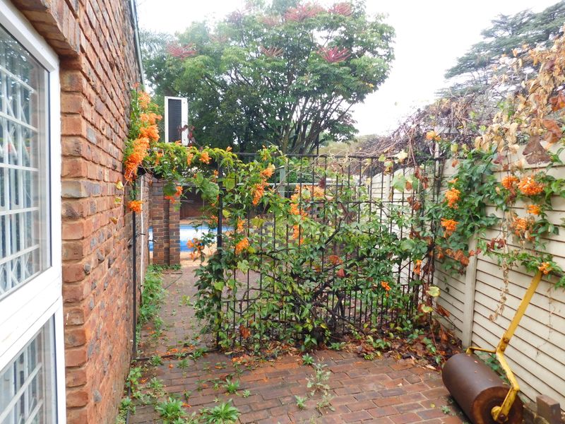 Renovator's Dream - Perfct Location - Photo 2
