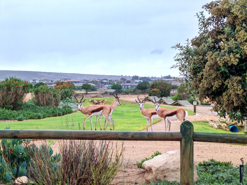 Elevated Greenbelt Living with Thoughtful Double-Storey Design - Photo 7