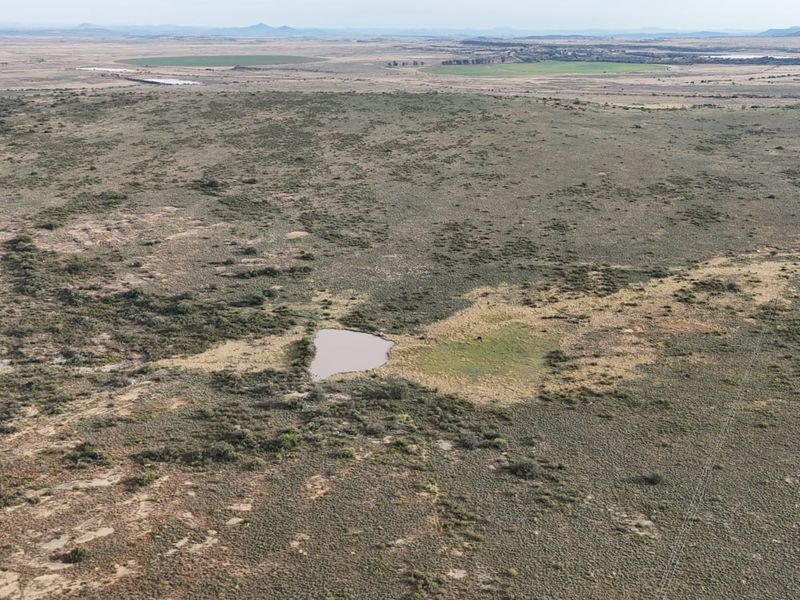 PLAAS TE KOOP – ALIWAL NOORD OMGEWING - Photo 6