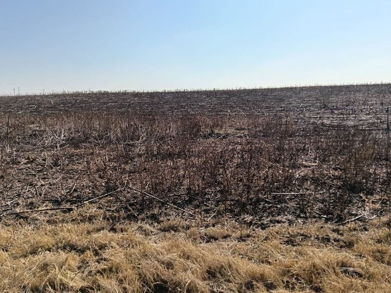 Well-developed mixed farm in the Free State - Photo 6