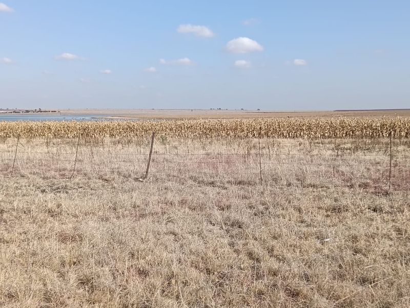 Well-developed mixed farm in the Free State - Photo 1