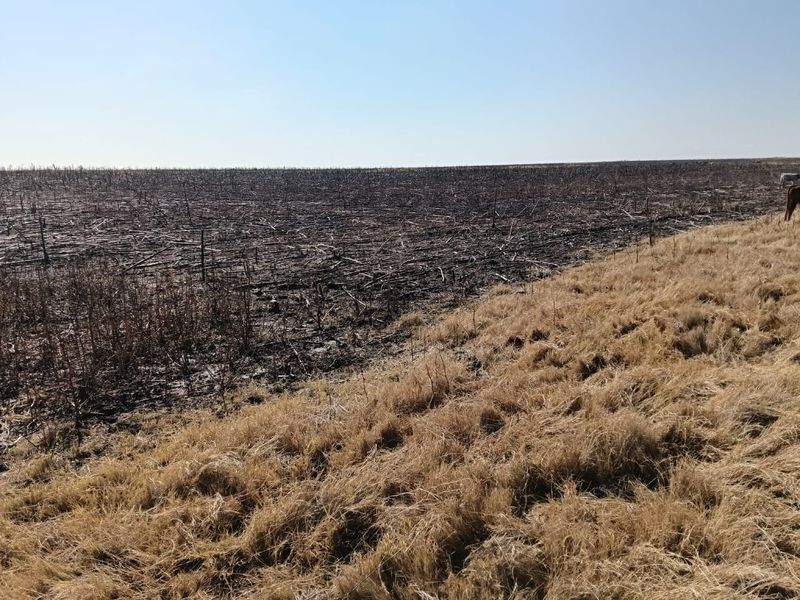 Well-developed mixed farm in the Free State - Photo 5
