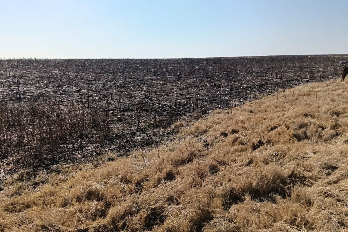 Well-developed mixed farm in the Free State - Photo 5