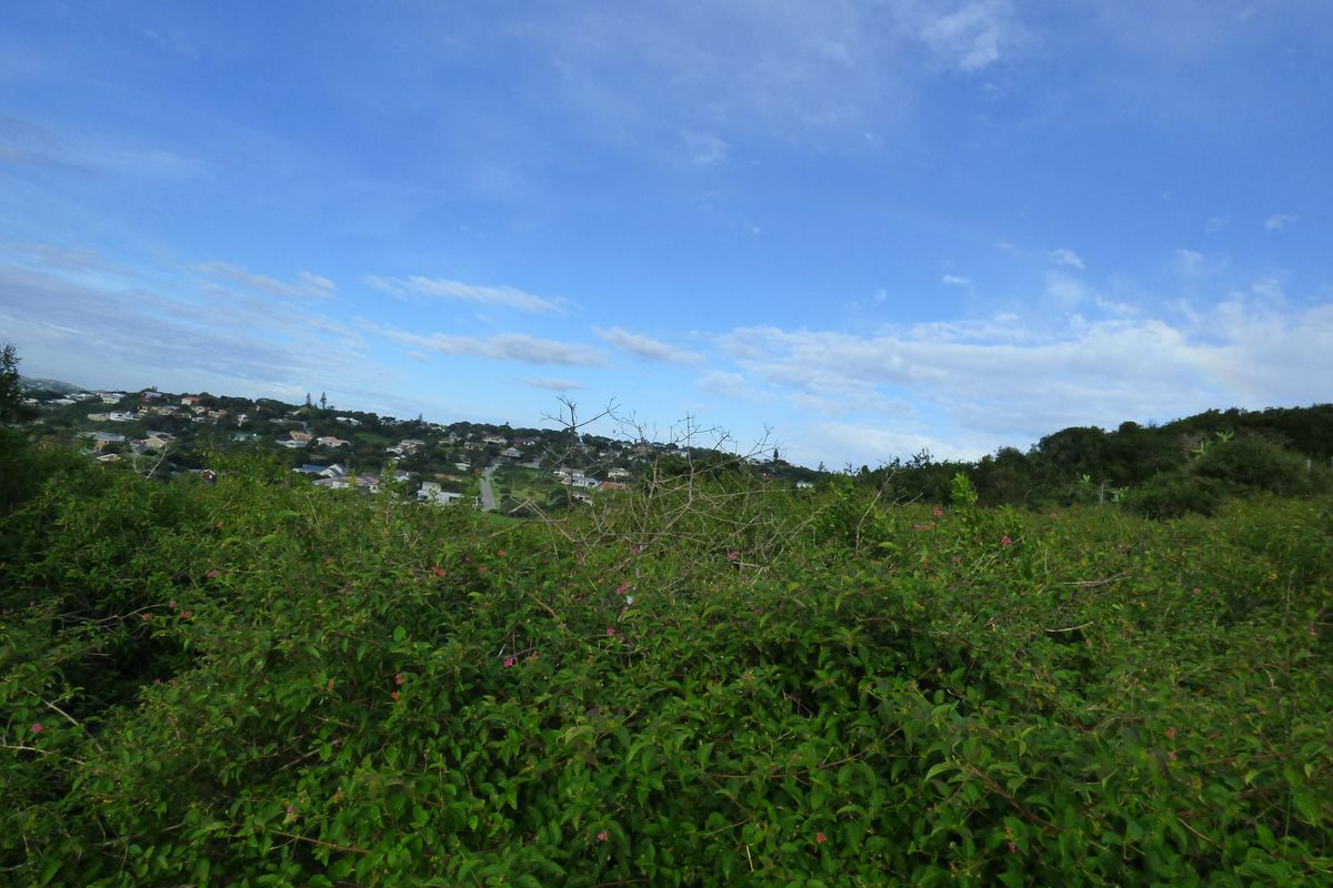 Plot with River Views in Riverview Waterfront Estate, Port Alfred - Photo 2