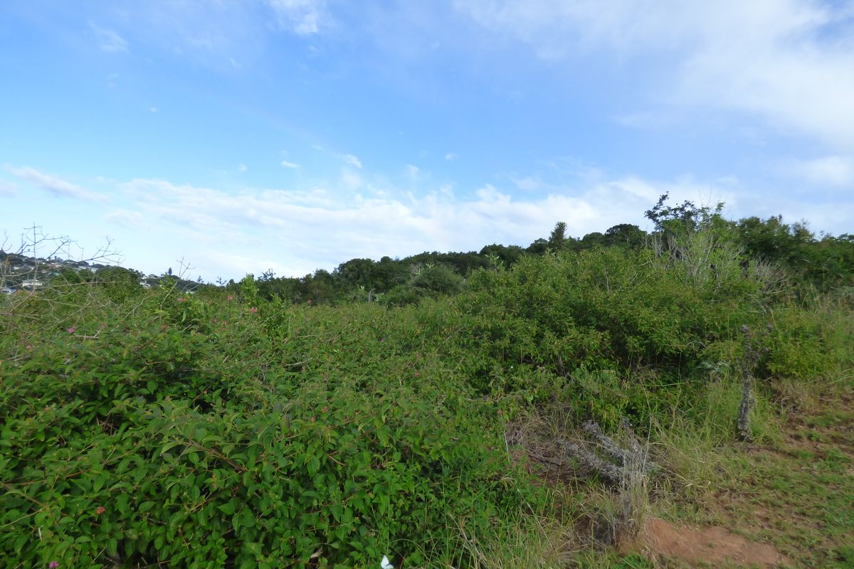 Plot with River Views in Riverview Waterfront Estate, Port Alfred - Photo 3