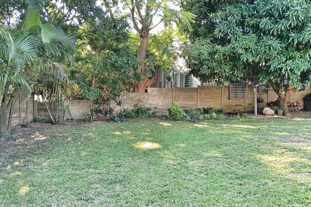 Tranquil Family Haven in the Heart of Arboretum - Photo 5