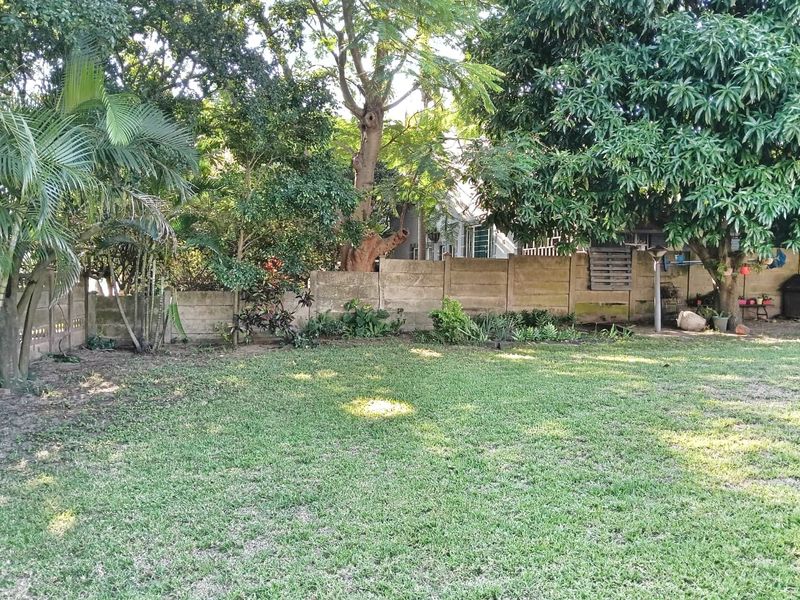 Tranquil Family Haven in the Heart of Arboretum - Photo 5