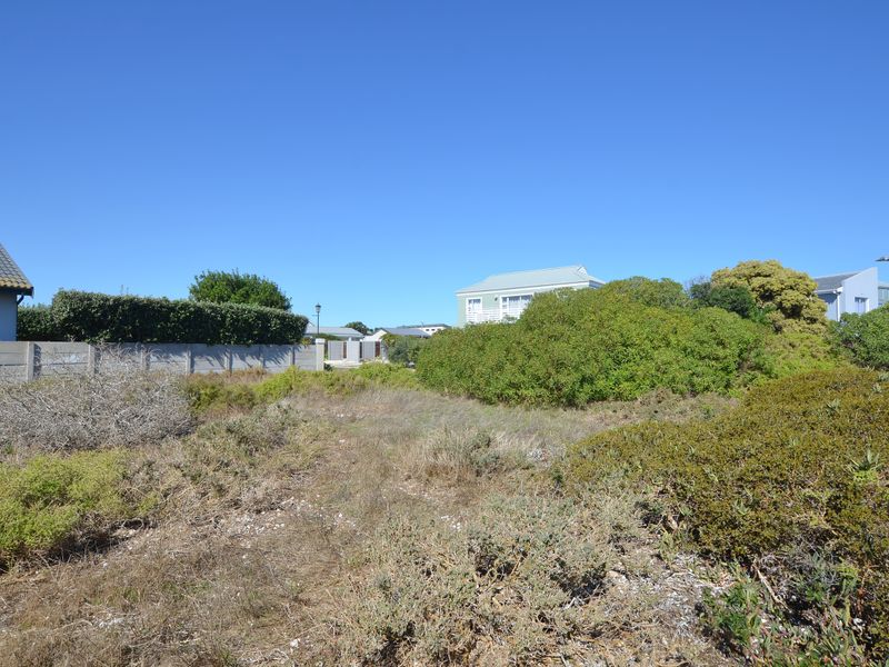 A vacant residential plot featuring natural coastal vegetation, enclosed by a concrete boundary wall, situated within an established residential neighborhood.