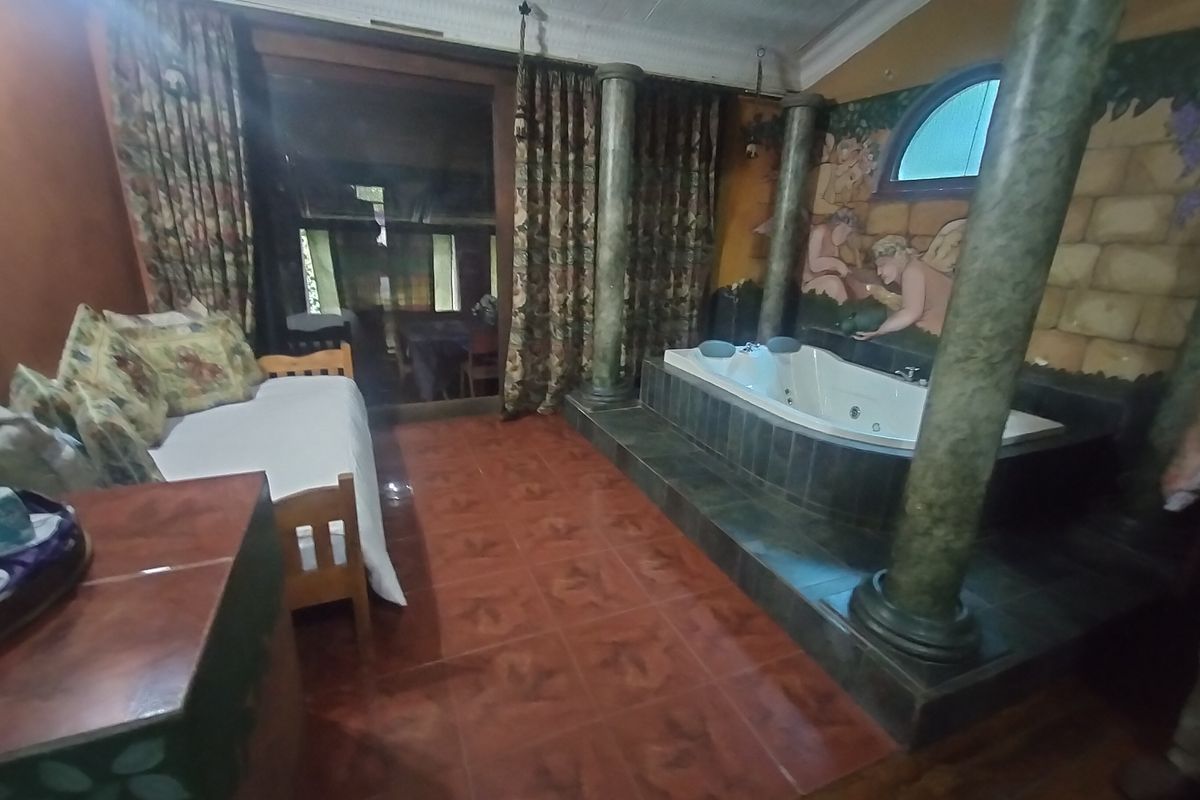 A unique bathroom featuring a built-in jetted bathtub, decorative columns, and a mural, offering a distinct aesthetic with potential for modern updates.