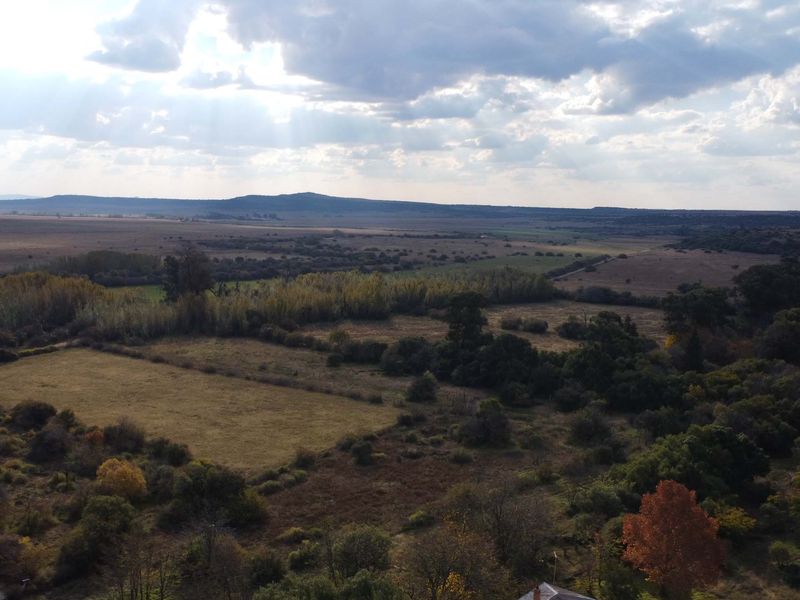 VEILING: 300 Ha, Kroonstad - Photo 1
